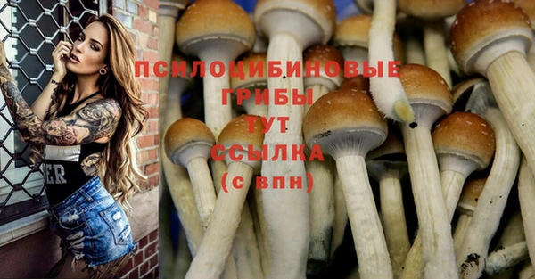 хмурый Верхнеуральск