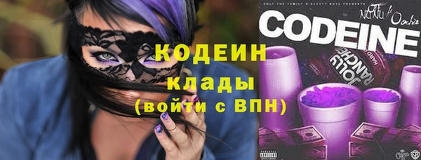 гашик Горняк